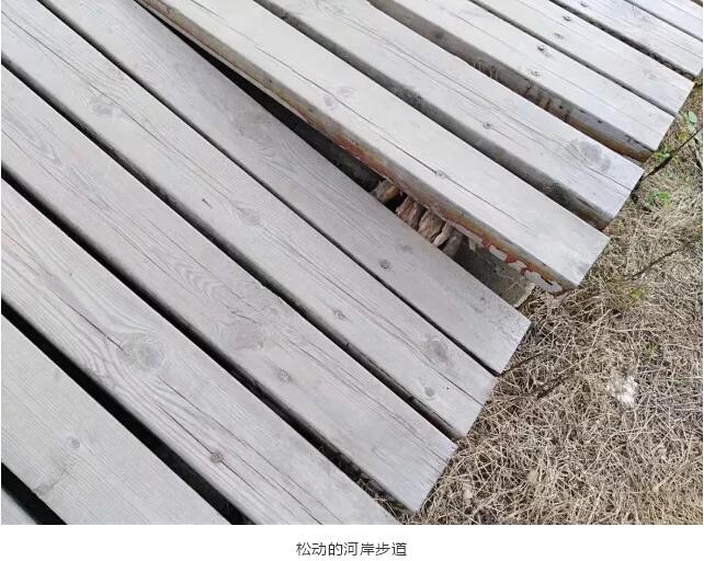 郝堂事|郝堂青年志愿服务队再启航！