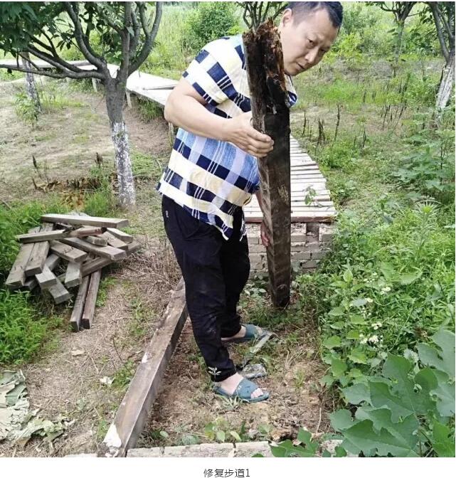郝堂事|郝堂青年志愿服务队再启航！