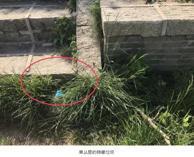 “五一热”过后，这些郝青年们在做什么呢？