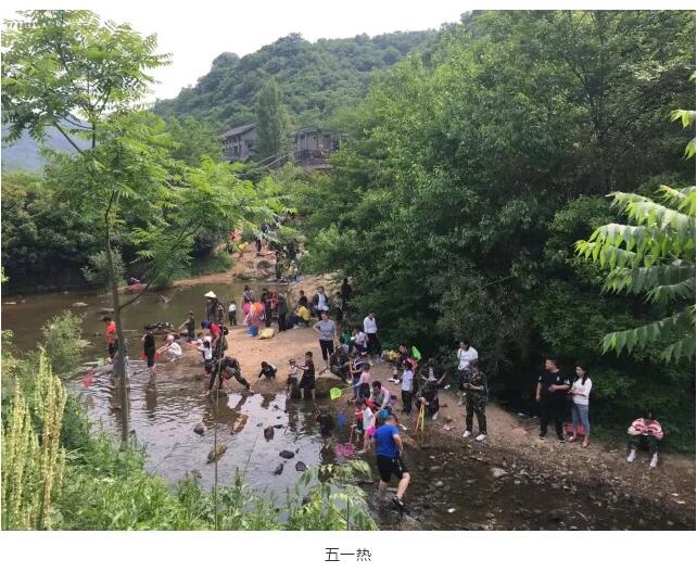 “五一热”过后，这些郝青年们在做
