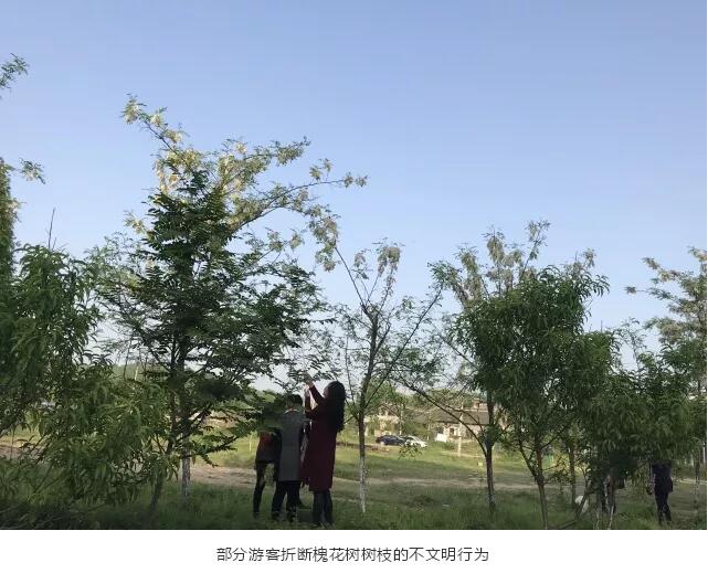 “五一热”过后，这些郝青年们在做什么呢？