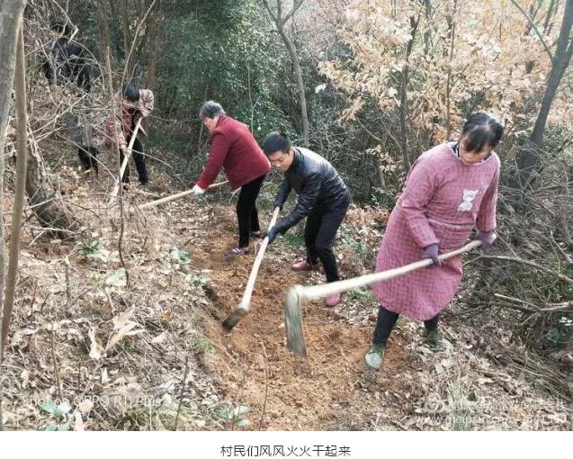 郝堂事|待到山花烂漫时，请到郝堂山中来