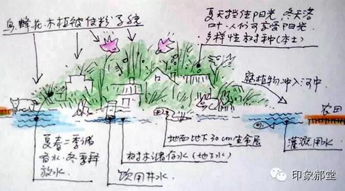 【媒体印象】《人民日报》——《画家画出的小村》