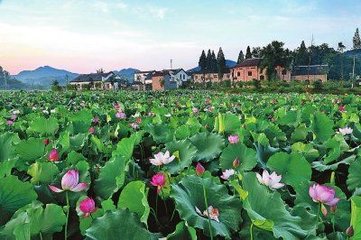 10月郝堂有你不曾经历的美